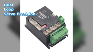 سائق سيرفو ثنائي الحلقة